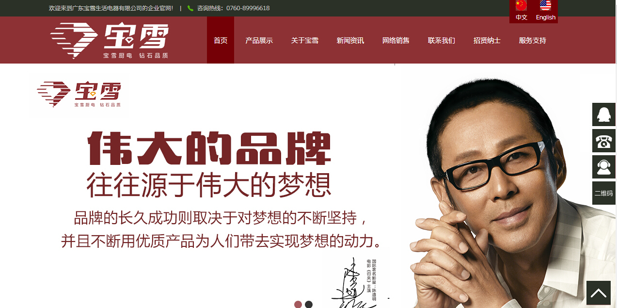 广东宝雪生活电器网站制作